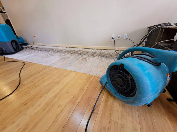 Professional Water Damage Repair technician working in Winfield, WV